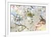 White Spring Blossoms 03-LightBoxJournal-Framed Giclee Print