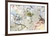 White Spring Blossoms 03-LightBoxJournal-Framed Giclee Print