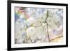 White Spring Blossoms 06-LightBoxJournal-Framed Giclee Print