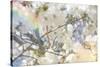 White Spring Blossoms 09-LightBoxJournal-Stretched Canvas