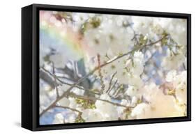 White Spring Blossoms 09-LightBoxJournal-Framed Stretched Canvas