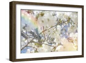 White Spring Blossoms 09-LightBoxJournal-Framed Giclee Print