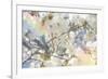 White Spring Blossoms 09-LightBoxJournal-Framed Giclee Print