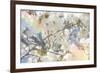 White Spring Blossoms 09-LightBoxJournal-Framed Giclee Print