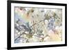 White Spring Blossoms 09-LightBoxJournal-Framed Giclee Print