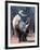 White Square-Lipped Rhino, Namibia-Claudia Adams-Framed Photographic Print