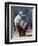 White Square-Lipped Rhino, Namibia-Claudia Adams-Framed Photographic Print