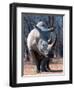 White Square-Lipped Rhino, Namibia-Claudia Adams-Framed Photographic Print