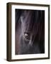 White Stallion Dude Ranch, Tucson, Arizona, USA-Julian McRoberts-Framed Photographic Print