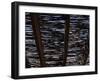 White Stallion Dude Ranch, Tucson, Arizona, USA-Julian McRoberts-Framed Photographic Print