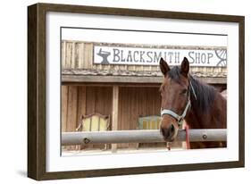 White Stallion Dude Ranch. Tucson, Arizona, USA-Julien McRoberts-Framed Photographic Print