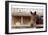 White Stallion Dude Ranch. Tucson, Arizona, USA-Julien McRoberts-Framed Photographic Print