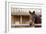 White Stallion Dude Ranch. Tucson, Arizona, USA-Julien McRoberts-Framed Photographic Print