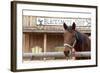 White Stallion Dude Ranch. Tucson, Arizona, USA-Julien McRoberts-Framed Photographic Print