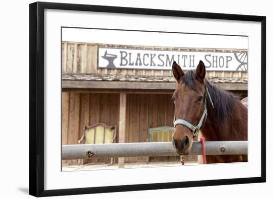 White Stallion Dude Ranch. Tucson, Arizona, USA-Julien McRoberts-Framed Photographic Print