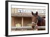 White Stallion Dude Ranch. Tucson, Arizona, USA-Julien McRoberts-Framed Photographic Print