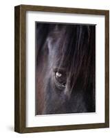 White Stallion Dude Ranch, Tucson, Arizona, USA-Julian McRoberts-Framed Photographic Print