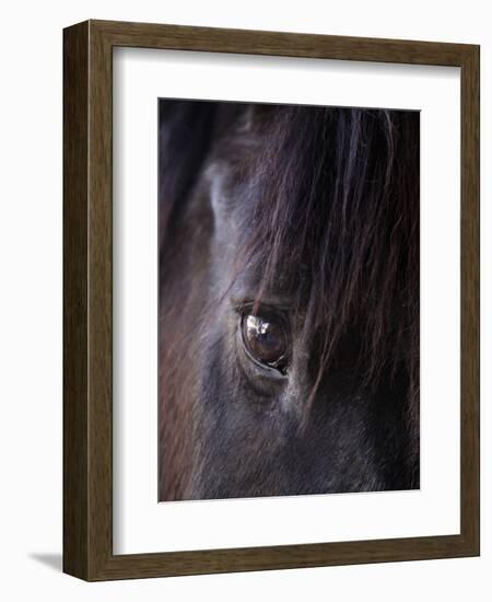 White Stallion Dude Ranch, Tucson, Arizona, USA-Julian McRoberts-Framed Photographic Print