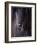 White Stallion Dude Ranch, Tucson, Arizona, USA-Julian McRoberts-Framed Photographic Print