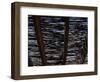 White Stallion Dude Ranch, Tucson, Arizona, USA-Julian McRoberts-Framed Photographic Print