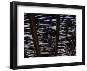 White Stallion Dude Ranch, Tucson, Arizona, USA-Julian McRoberts-Framed Photographic Print