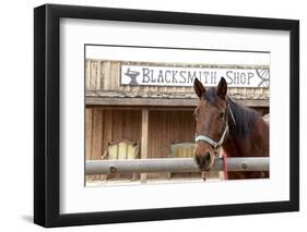 White Stallion Dude Ranch. Tucson, Arizona, USA-Julien McRoberts-Framed Photographic Print