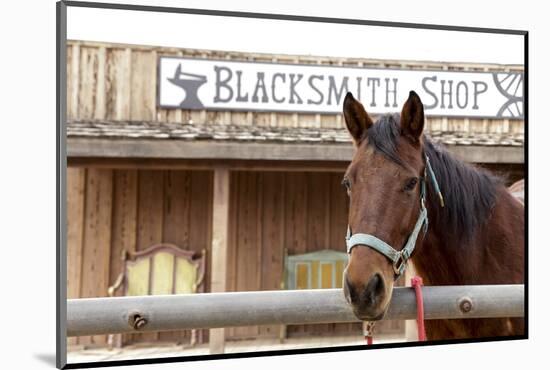 White Stallion Dude Ranch. Tucson, Arizona, USA-Julien McRoberts-Mounted Photographic Print