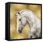 White Stallion on Gold-Martin Rose-Framed Stretched Canvas