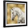 White Stallion on Gold-Martin Rose-Framed Art Print