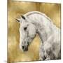 White Stallion on Gold-Martin Rose-Mounted Art Print