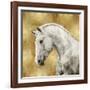 White Stallion on Gold-Martin Rose-Framed Art Print