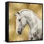 White Stallion on Gold-Martin Rose-Framed Stretched Canvas