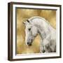 White Stallion on Gold-Martin Rose-Framed Art Print