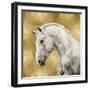 White Stallion on Gold-Martin Rose-Framed Art Print