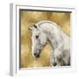 White Stallion on Gold-Martin Rose-Framed Art Print