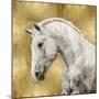 White Stallion on Gold-Martin Rose-Mounted Art Print