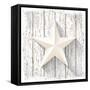 White Star with 3D Effect on White Wood, Christmas Motive, Vector Illustration, Eps 10 with Transpa-Anikakodydkova-Framed Stretched Canvas