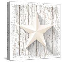 White Star with 3D Effect on White Wood, Christmas Motive, Vector Illustration, Eps 10 with Transpa-Anikakodydkova-Stretched Canvas