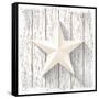 White Star with 3D Effect on White Wood, Christmas Motive, Vector Illustration, Eps 10 with Transpa-Anikakodydkova-Framed Stretched Canvas