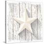 White Star with 3D Effect on White Wood, Christmas Motive, Vector Illustration, Eps 10 with Transpa-Anikakodydkova-Stretched Canvas