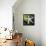 White Starfish on Green Leaf-Uwe Merkel-Framed Stretched Canvas displayed on a wall
