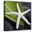 White Starfish on Green Leaf-Uwe Merkel-Stretched Canvas