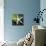 White Starfish on Green Leaf-Uwe Merkel-Photographic Print displayed on a wall