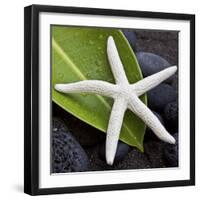 White Starfish on Green Leaf-Uwe Merkel-Framed Photographic Print