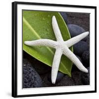 White Starfish on Green Leaf-Uwe Merkel-Framed Photographic Print