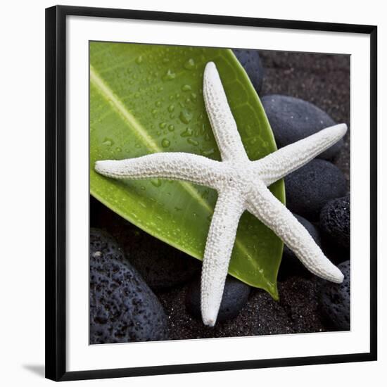 White Starfish on Green Leaf-Uwe Merkel-Framed Photographic Print