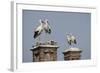 White Stork (Ciconia Ciconia) Breeding Pairs on Chimney Stacks, Spain-Jose Luis Gomez De Francisco-Framed Photographic Print