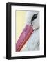 White Stork (Ciconia Ciconia) Close-Up, La Serena, Extremadura, Spain, March 2009-Widstrand-Framed Photographic Print