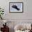 White Stork (Ciconia Ciconia) Flying, Pont Du Gau, Camargue, France, May 2009-Allofs-Framed Photographic Print displayed on a wall