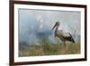 White Stork (Ciconia Ciconia) Hunting and Feeding at the Edge of a Bushfire-Denis-Huot-Framed Photographic Print